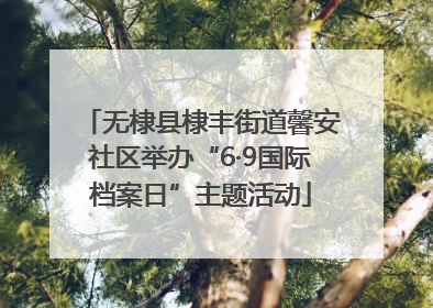 无棣县棣丰街道馨安社区举办“6·9国际档案日”主题活动