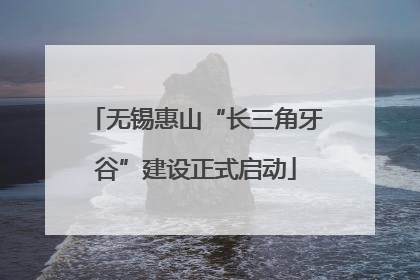 无锡惠山“长三角牙谷”建设正式启动