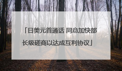 日美元首通话 同意加快部长级磋商以达成互利协议