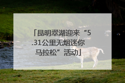 昆明翠湖迎来“5.31公里无烟迷你马拉松”活动