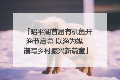 昭平湖首届有机鱼开渔节启幕 以渔为媒 谱写乡村振兴新篇章