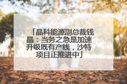晶科能源副总裁钱晶：当务之急是加速升级既有产线，沙特项目正推进中