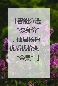 智能分选“提身价”，仙居杨梅优质优价变“金果”