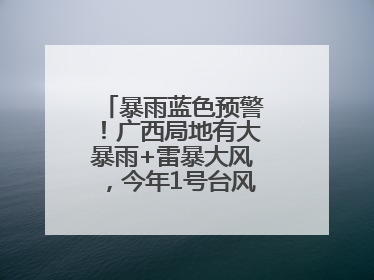 暴雨蓝色预警！广西局地有大暴雨+雷暴大风，今年1号台风最新消息……