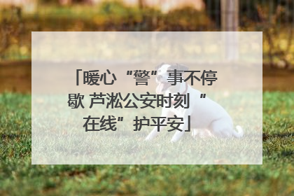 暖心“警”事不停歇 芦淞公安时刻“在线”护平安