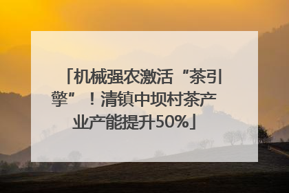 机械强农激活“茶引擎”！清镇中坝村茶产业产能提升50%