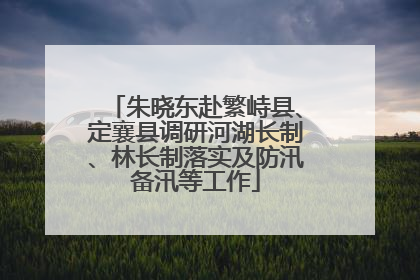 朱晓东赴繁峙县、定襄县调研河湖长制、林长制落实及防汛备汛等工作