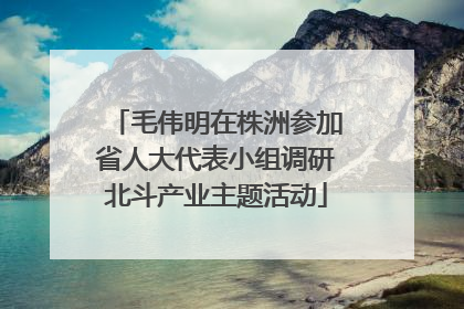 毛伟明在株洲参加省人大代表小组调研北斗产业主题活动