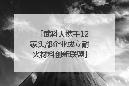 武科大携手12家头部企业成立耐火材料创新联盟