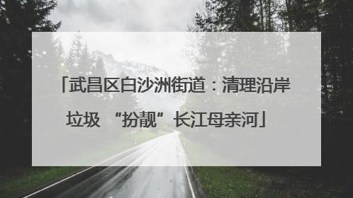 武昌区白沙洲街道：清理沿岸垃圾 “扮靓”长江母亲河