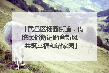 武昌区杨园街道：传统民俗邂逅婚育新风 共筑幸福和谐家园