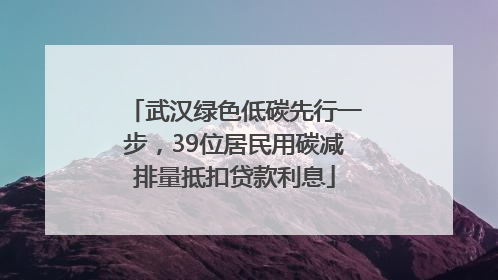 武汉绿色低碳先行一步，39位居民用碳减排量抵扣贷款利息