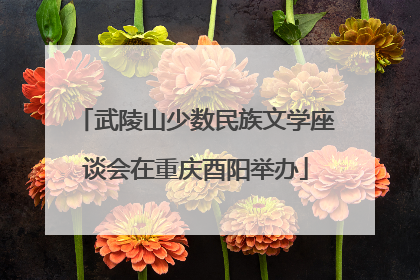 武陵山少数民族文学座谈会在重庆酉阳举办