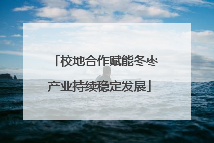 校地合作赋能冬枣产业持续稳定发展