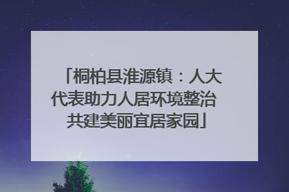 桐柏县淮源镇：人大代表助力人居环境整治 共建美丽宜居家园