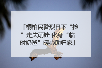 桐柏民警烈日下“捡”走失萌娃 化身“临时奶爸”暖心助归家