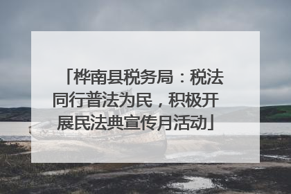 桦南县税务局：税法同行普法为民，积极开展民法典宣传月活动