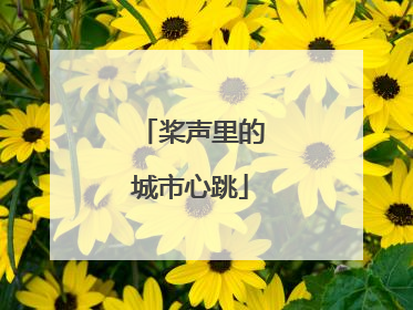 桨声里的城市心跳