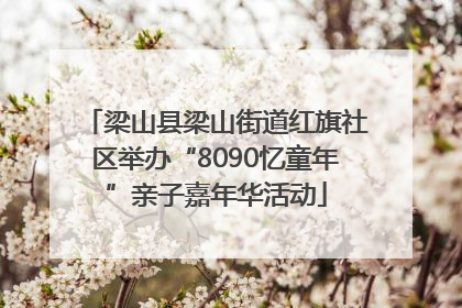 梁山县梁山街道红旗社区举办“8090忆童年”亲子嘉年华活动