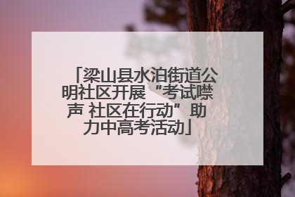 梁山县水泊街道公明社区开展“考试噤声 社区在行动”助力中高考活动
