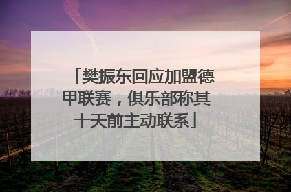 樊振东回应加盟德甲联赛，俱乐部称其十天前主动联系