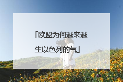 欧盟为何越来越生以色列的气