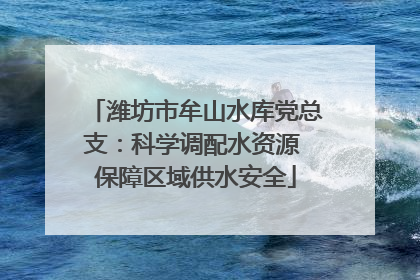 潍坊市牟山水库党总支：科学调配水资源 保障区域供水安全