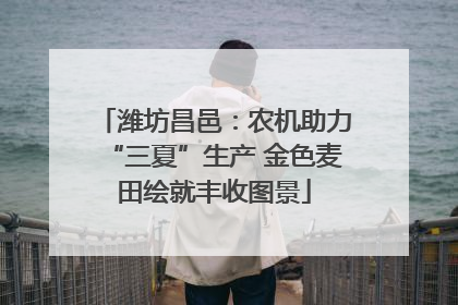 潍坊昌邑：农机助力“三夏”生产 金色麦田绘就丰收图景