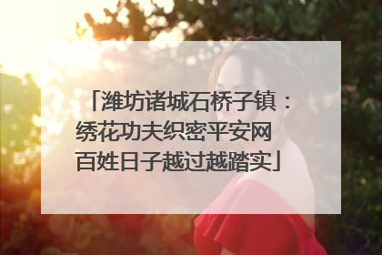 潍坊诸城石桥子镇：绣花功夫织密平安网 百姓日子越过越踏实