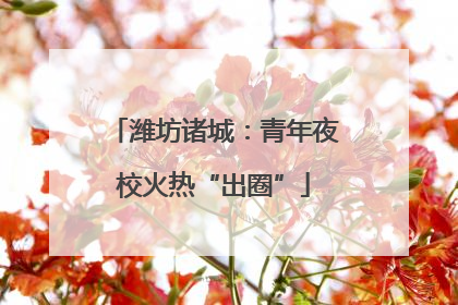 潍坊诸城：青年夜校火热“出圈”