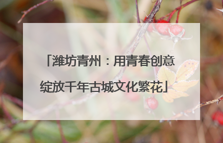 潍坊青州：用青春创意绽放千年古城文化繁花