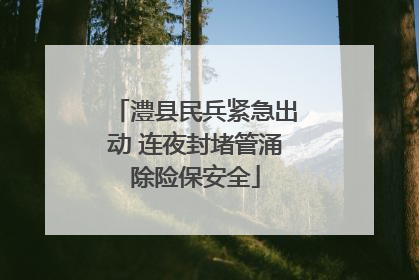 澧县民兵紧急出动 连夜封堵管涌除险保安全