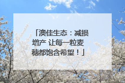 澳佳生态：减损增产 让每一粒麦穗都饱含希望！