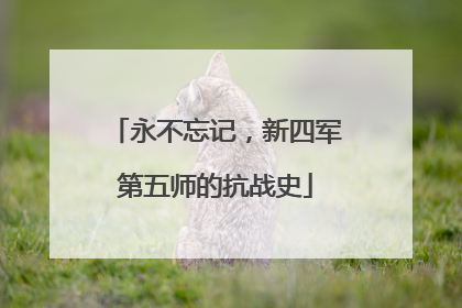 永不忘记，新四军第五师的抗战史