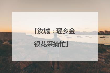 汝城：瑶乡金银花采摘忙