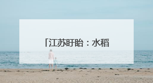 江苏盱眙：水稻插秧全面展开