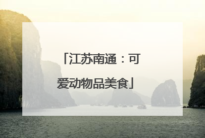 江苏南通：可爱动物品美食