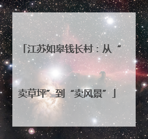 江苏如皋钱长村：从“卖草坪”到“卖风景”