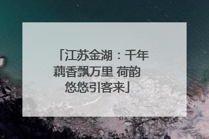 江苏金湖：千年藕香飘万里 荷韵悠悠引客来