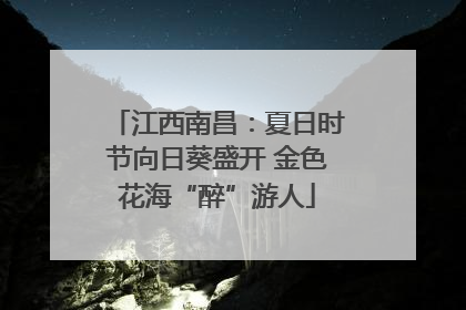 江西南昌：夏日时节向日葵盛开 金色花海“醉”游人