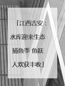 江西吉安：水库迎来生态捕鱼季 鱼跃人欢获丰收