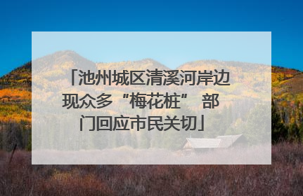池州城区清溪河岸边现众多“梅花桩” 部门回应市民关切