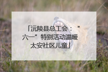 沅陵县总工会：“六一”特别活动温暖太安社区儿童