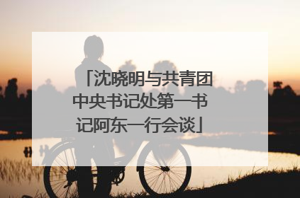 沈晓明与共青团中央书记处第一书记阿东一行会谈