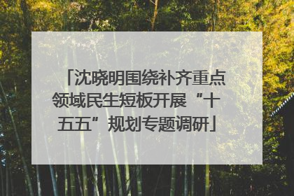 沈晓明围绕补齐重点领域民生短板开展“十五五”规划专题调研