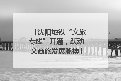 沈阳地铁“文旅专线”开通，跃动文商旅发展脉搏