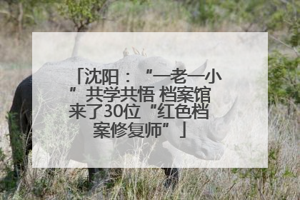 沈阳：“一老一小”共学共悟 档案馆来了30位“红色档案修复师”