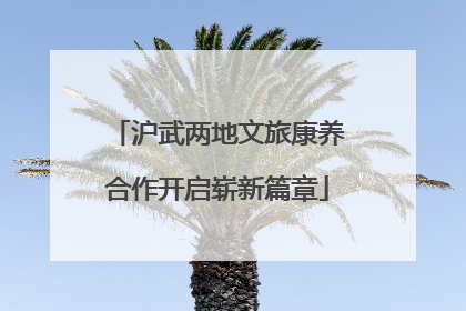 沪武两地文旅康养合作开启崭新篇章