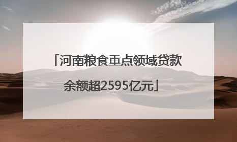 河南粮食重点领域贷款余额超2595亿元