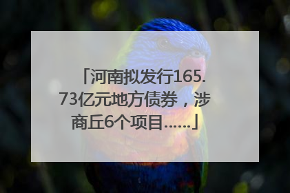 河南拟发行165.73亿元地方债券，涉商丘6个项目……
